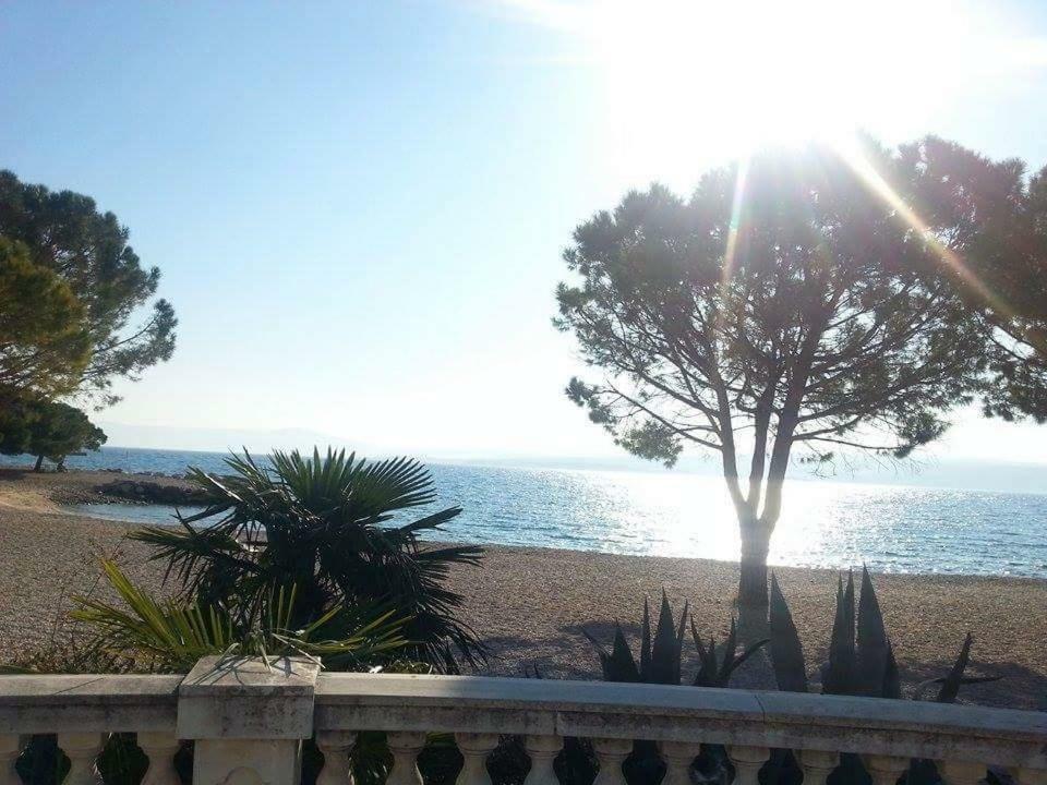 Dora Crikvenica