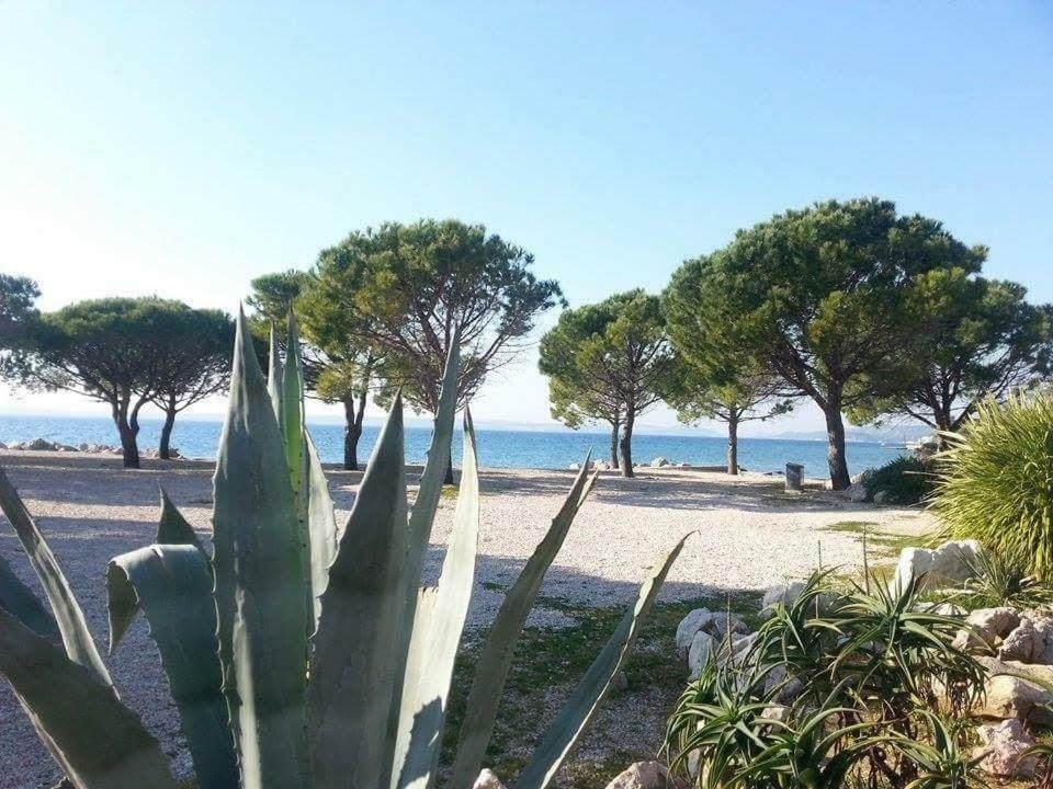 Dora Apartament